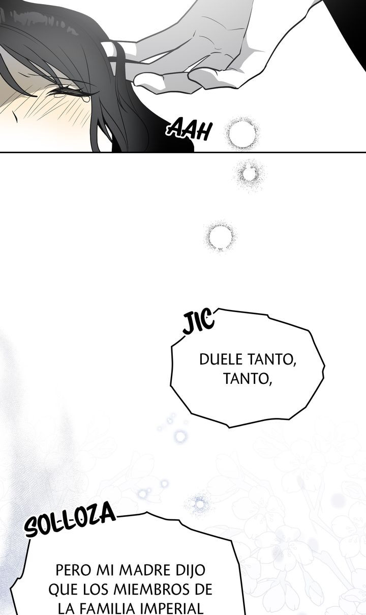 Página 52