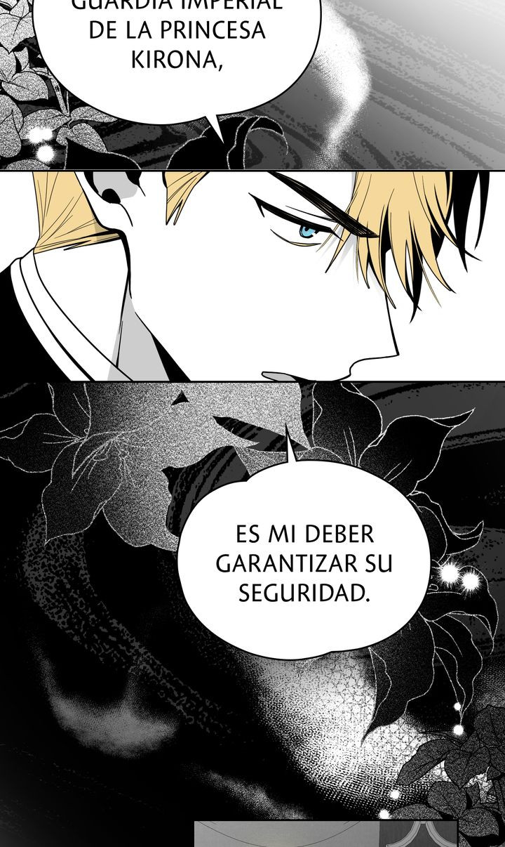 Página 42