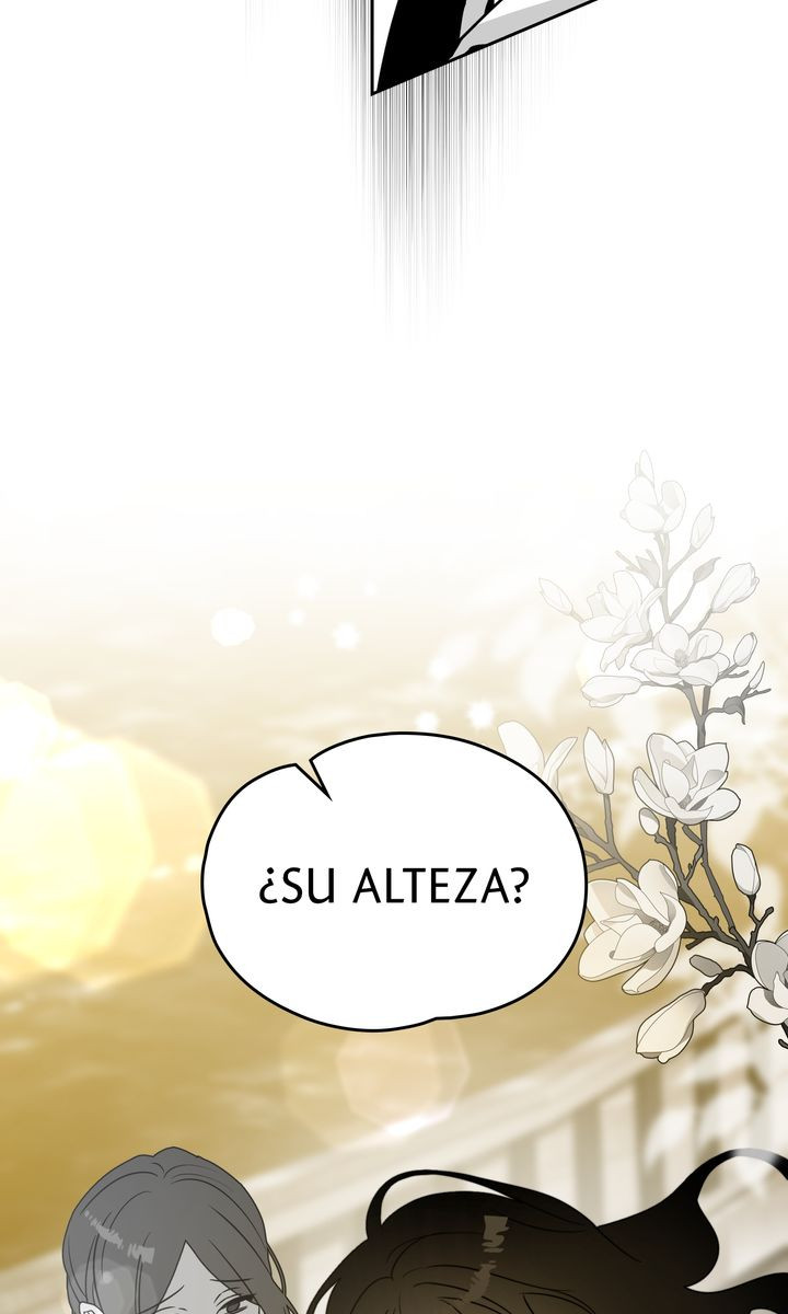 Página 46