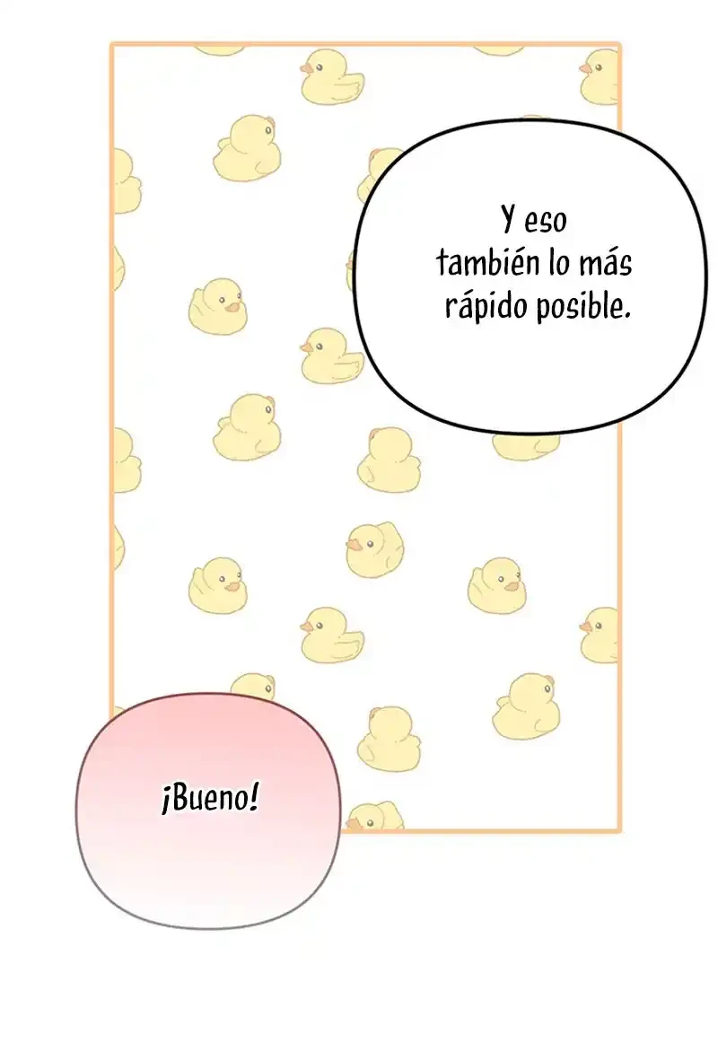 Página 47