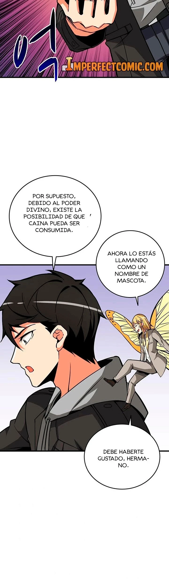 Página 17