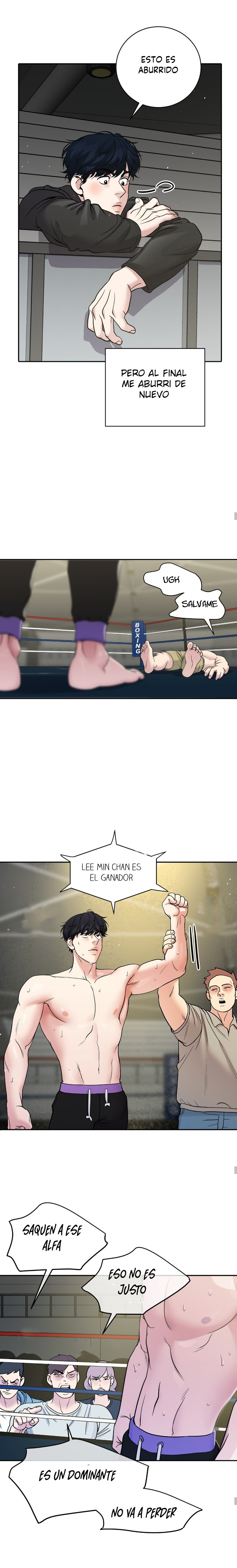 Página 17