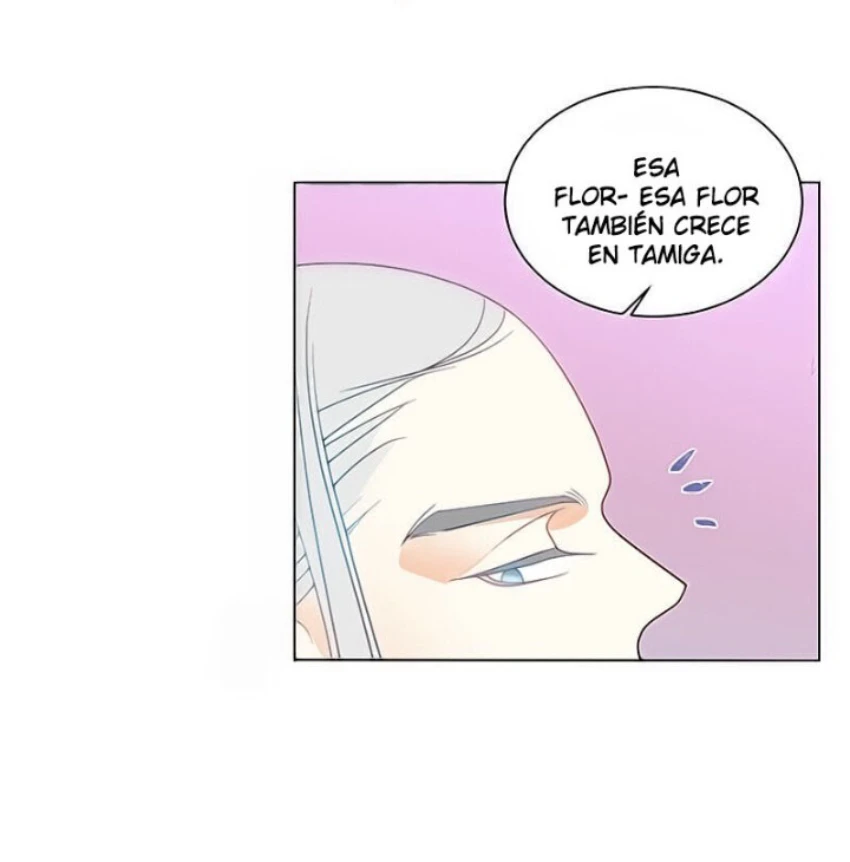 Página 61