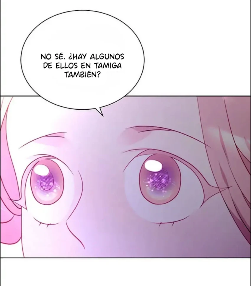Página 41