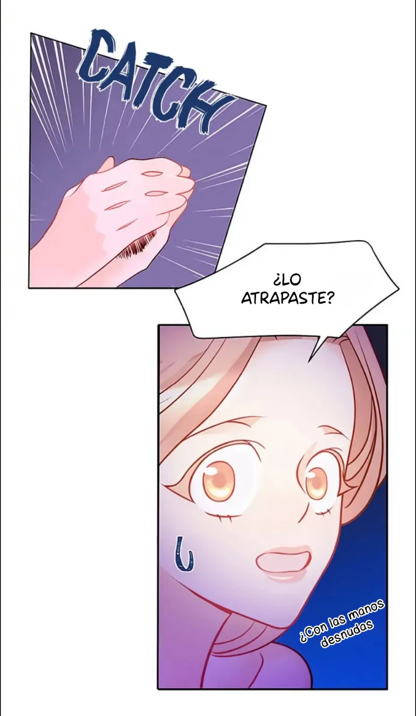 Página 43