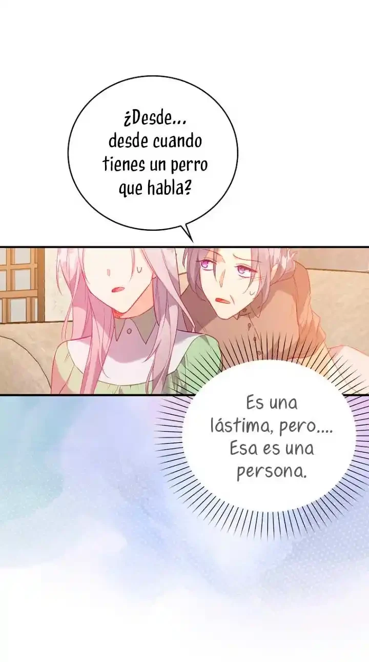 Página 42