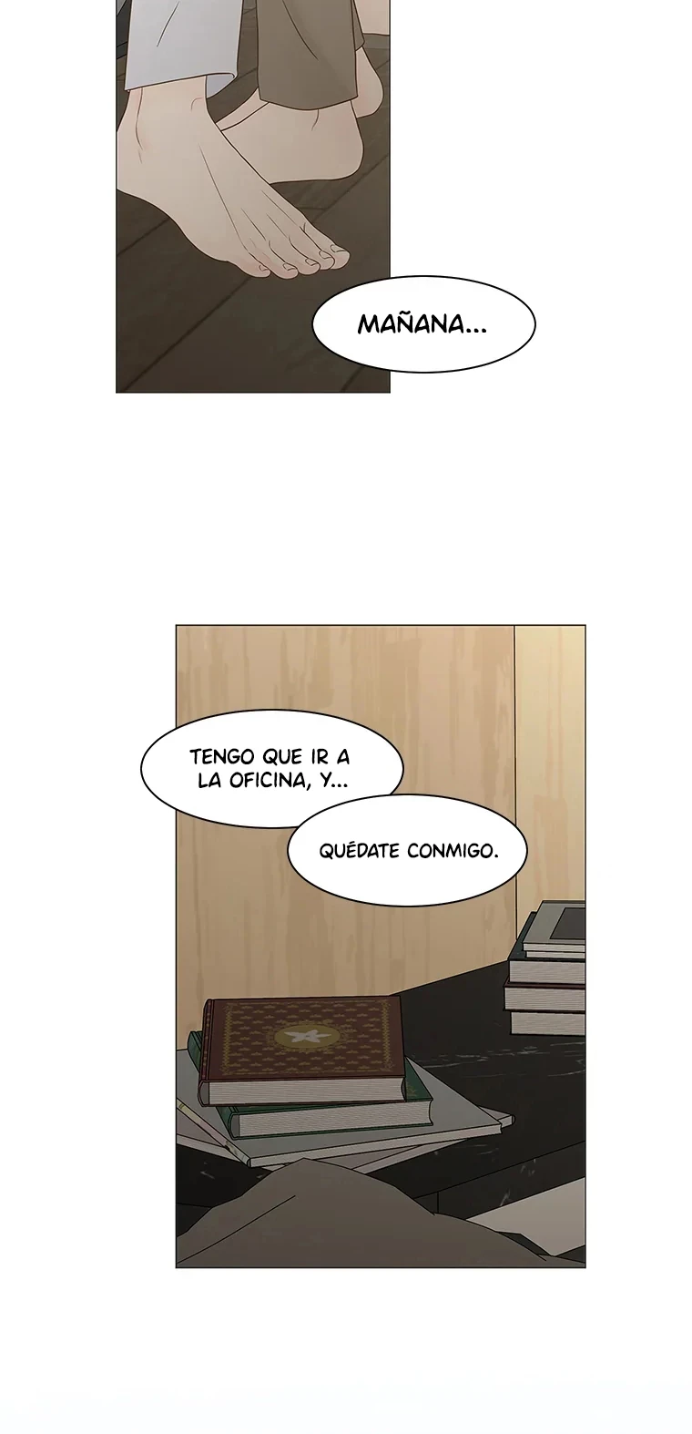 Página 17