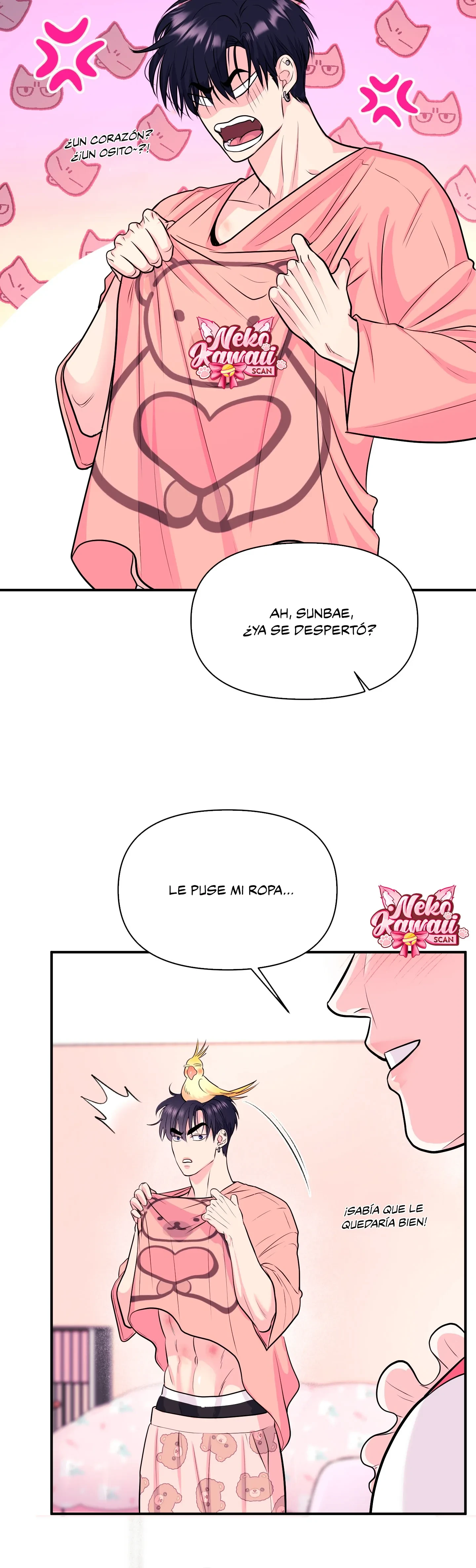 Página 7