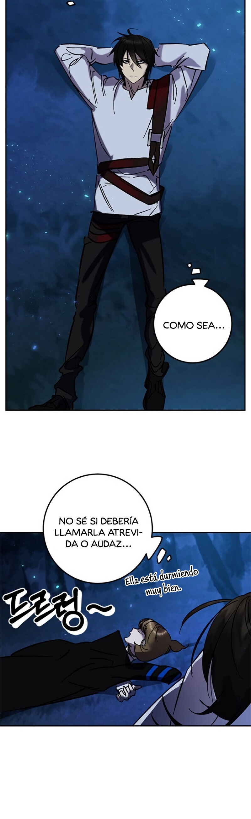 Página 27
