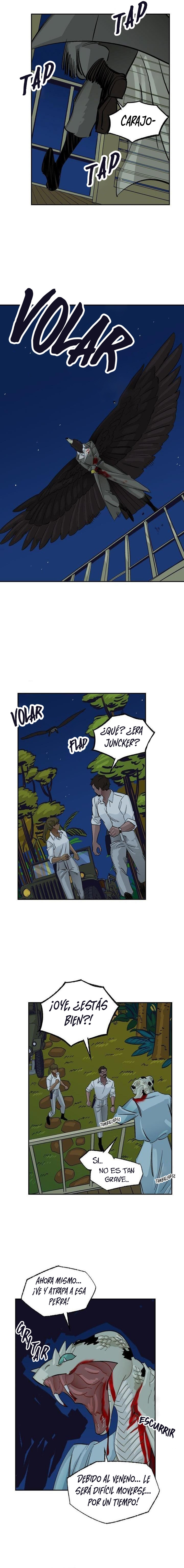 Página 11