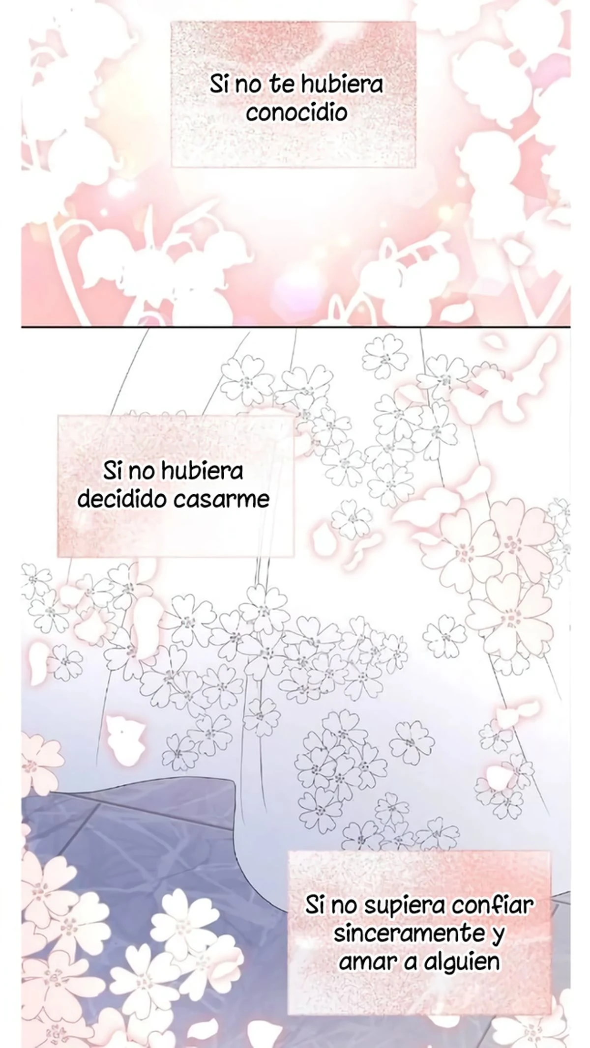 Página 42