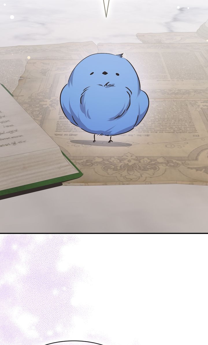 Página 44