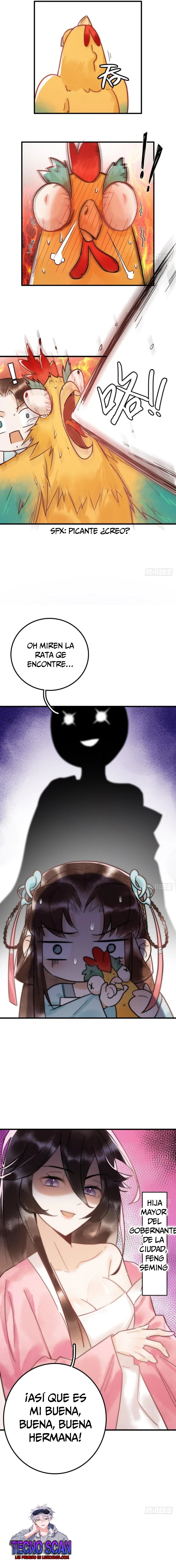 Página 7