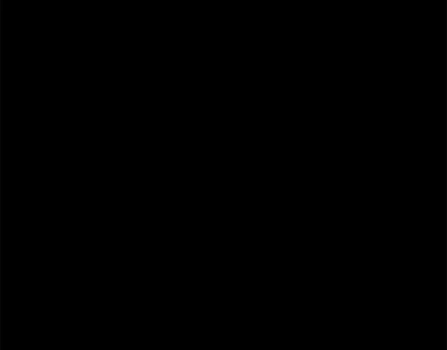 Página 96