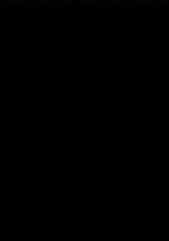 Página 93