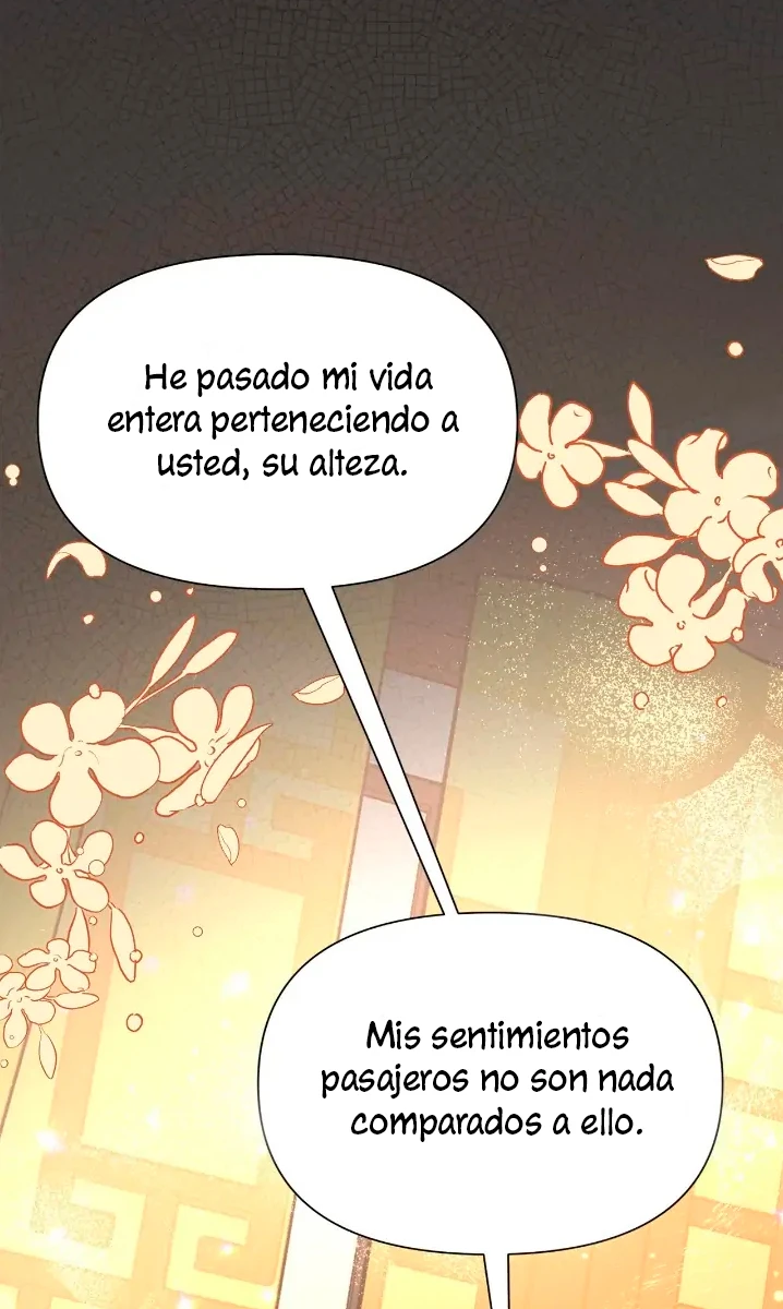 Página 114