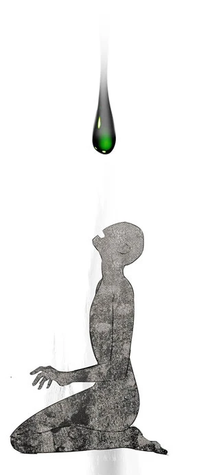 Página 75