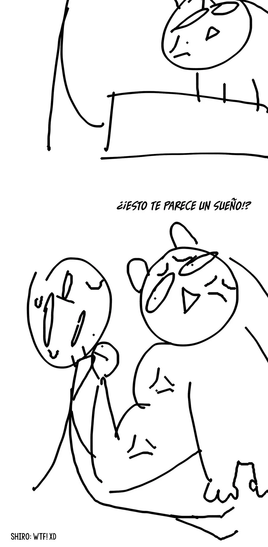Página 46