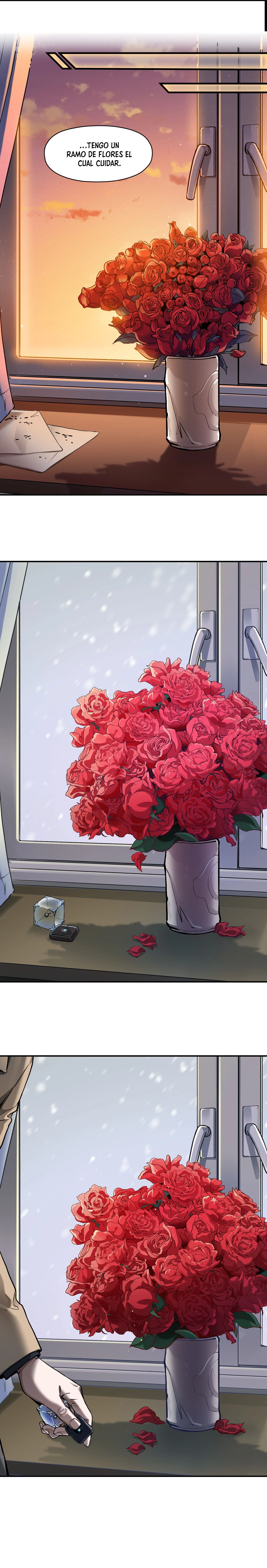 Página 7
