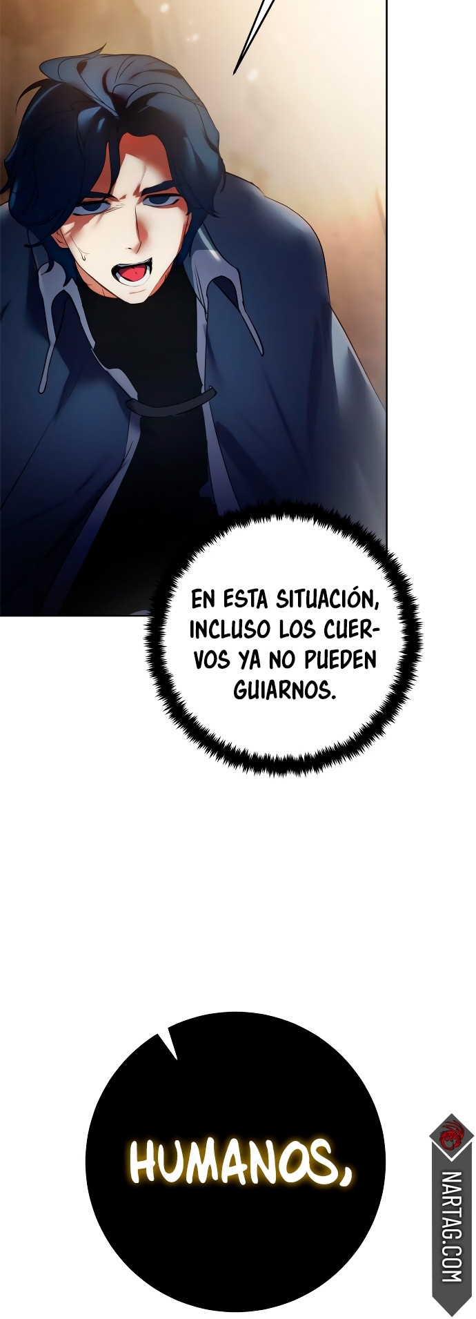 Página 31