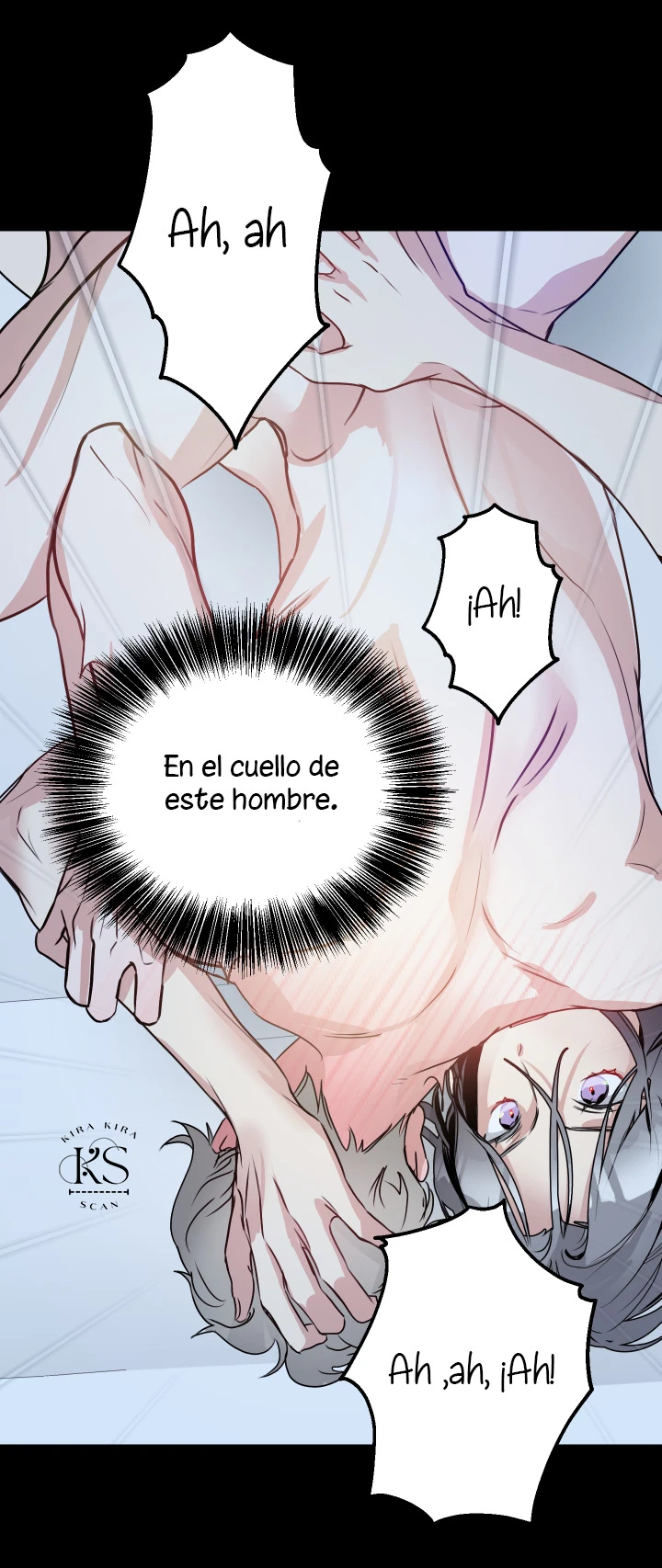 Página 53