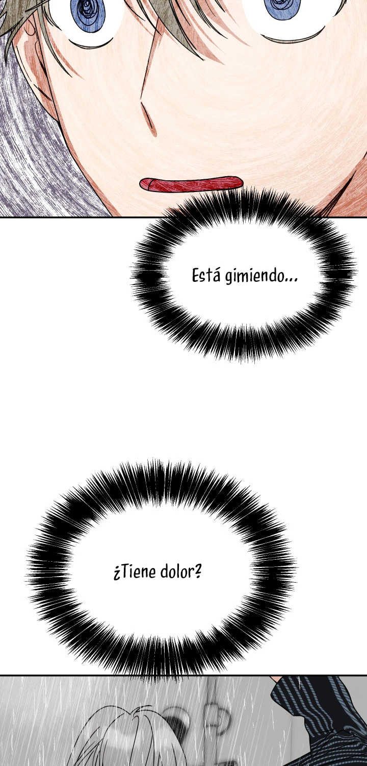Página 56