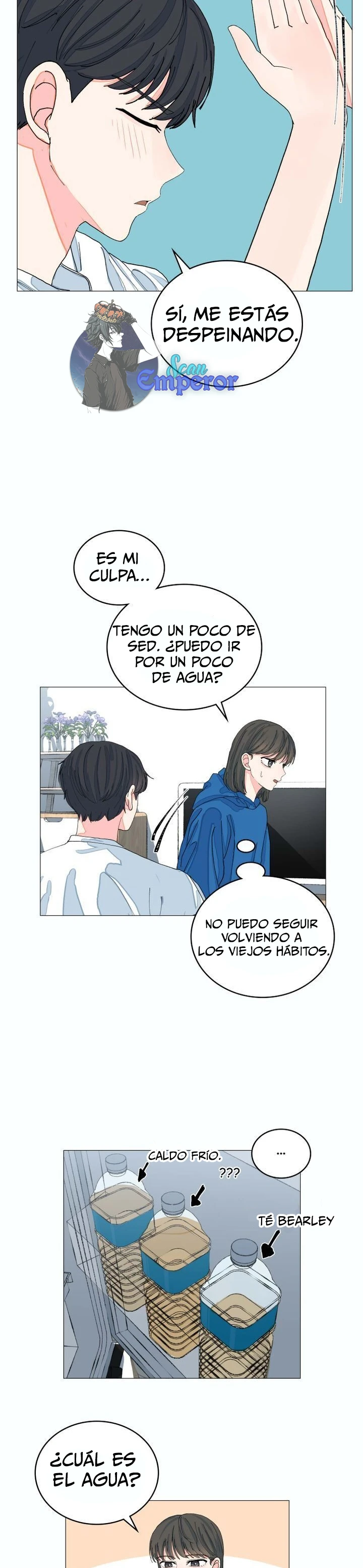 Página 17