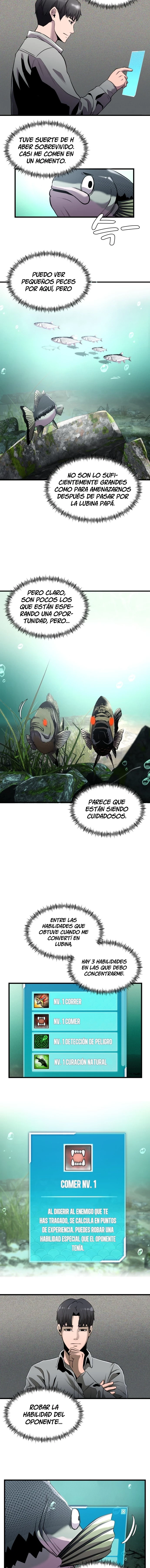 Página 8