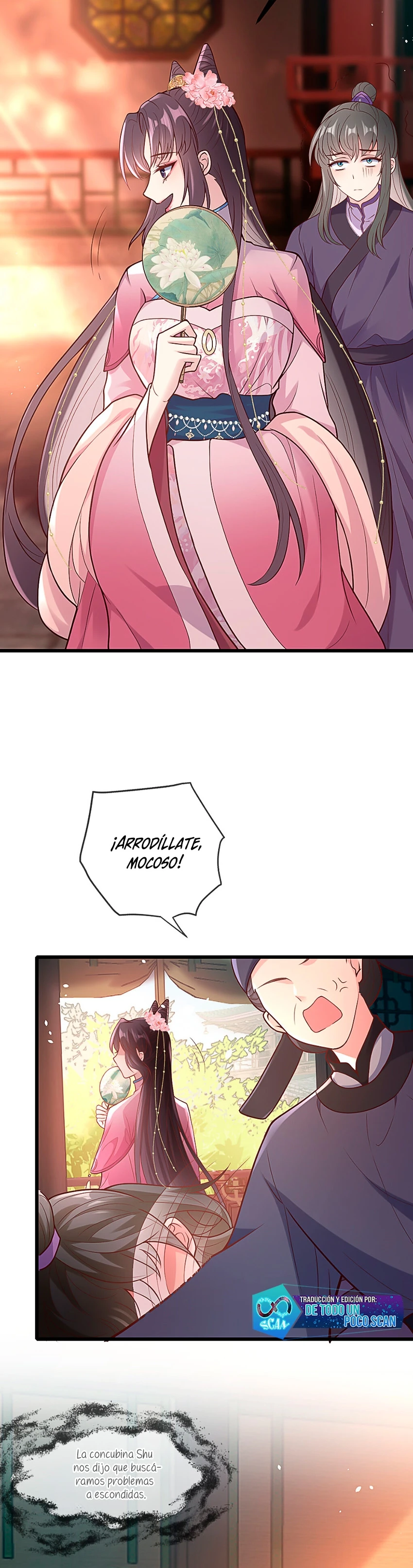 Página 5