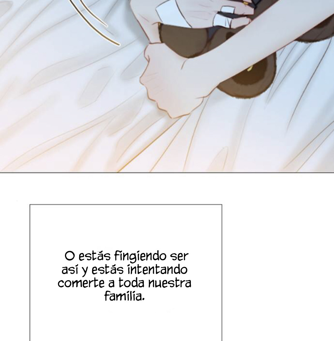 Página 52