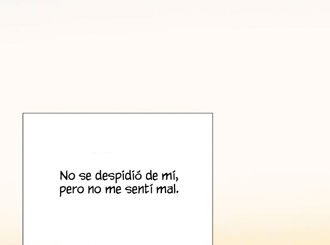 Página 164