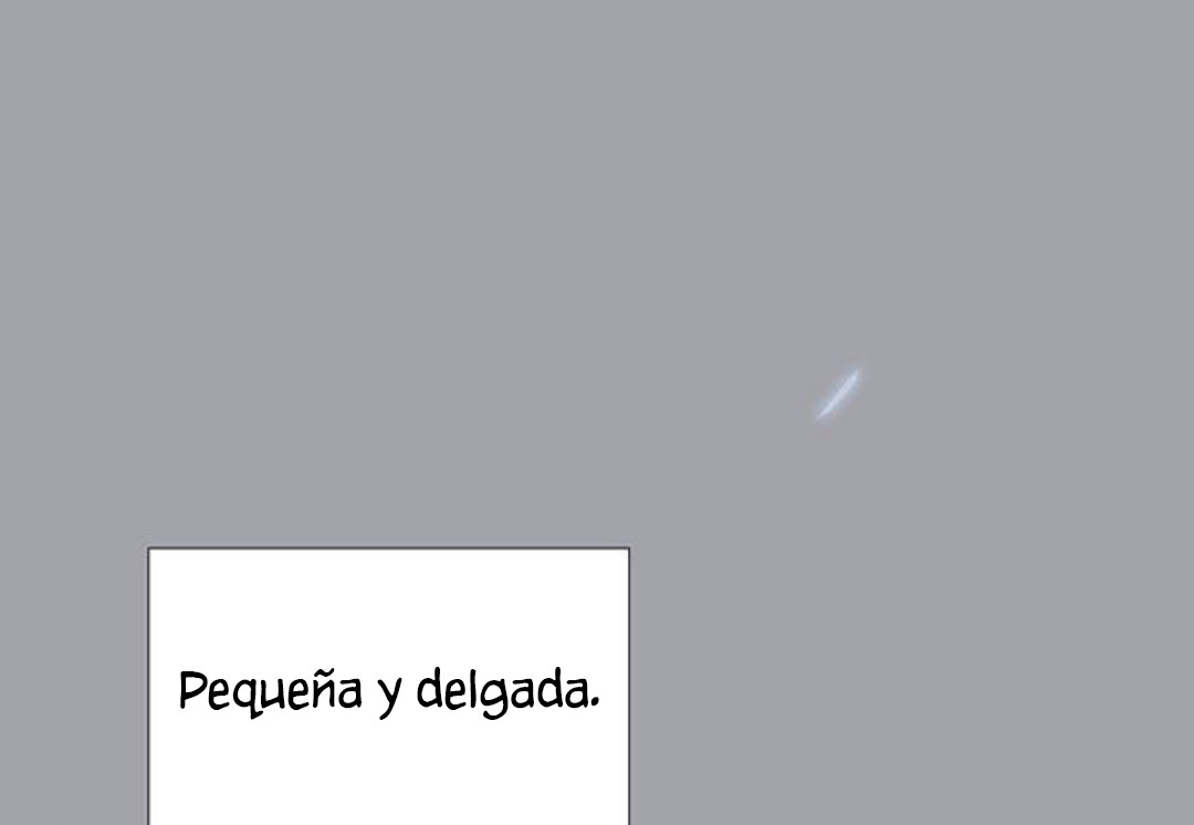 Página 236