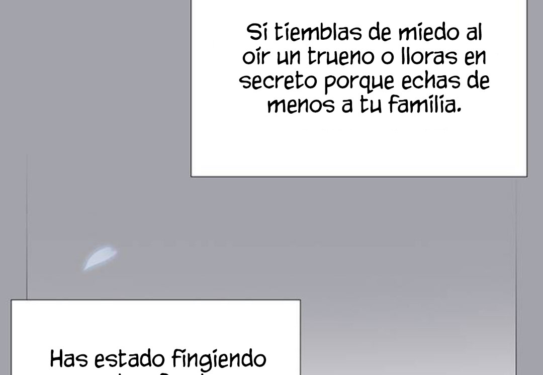 Página 242