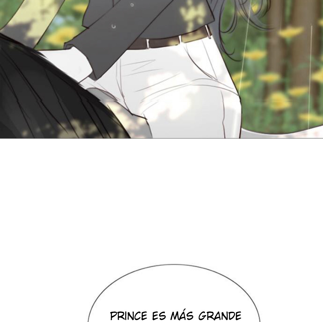 Página 146