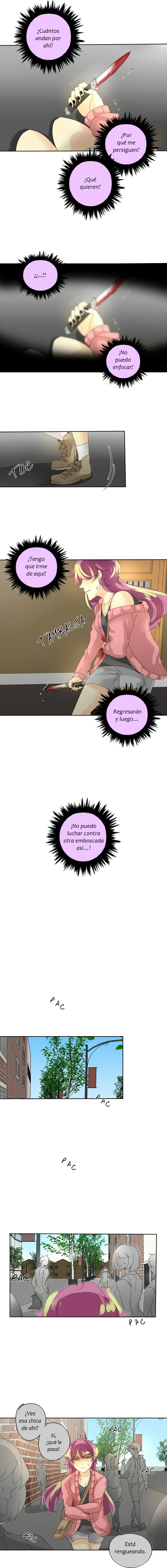 Página 8