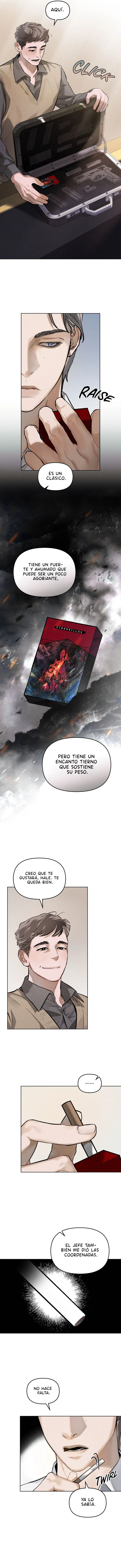 Página 8