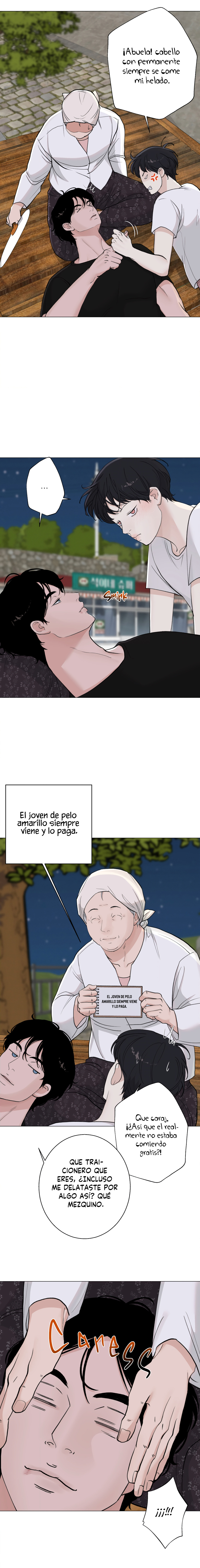 Página 12