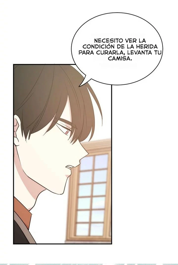 Página 36
