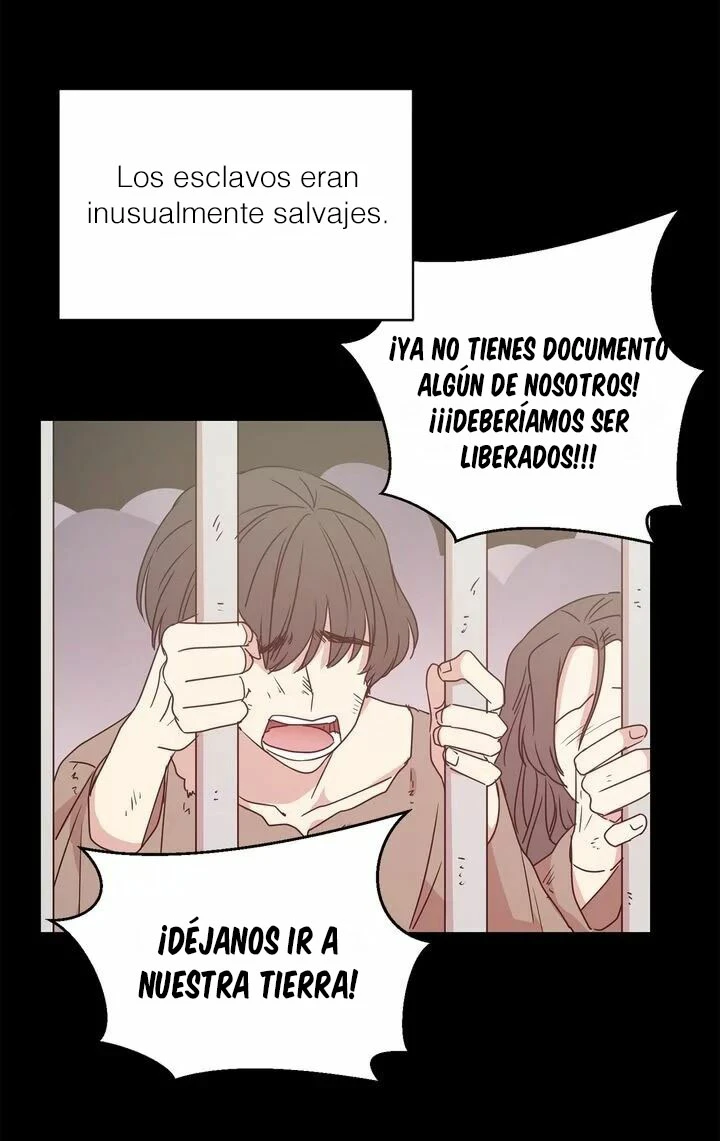 Página 43