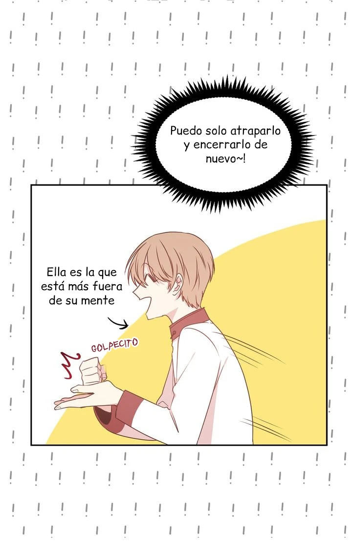 Página 43