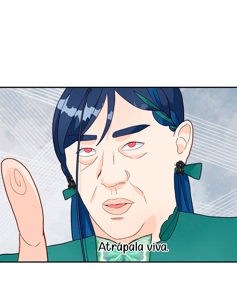 Página 49