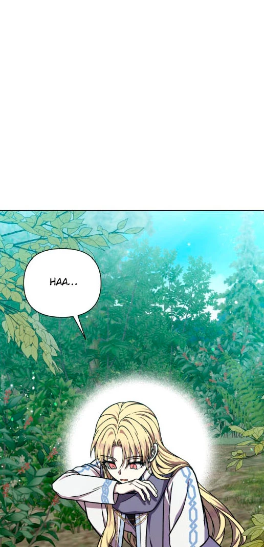Página 51