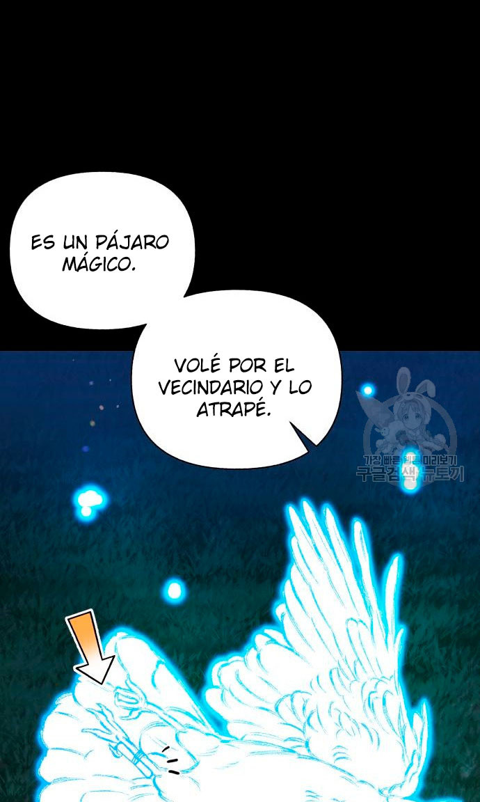 Página 41
