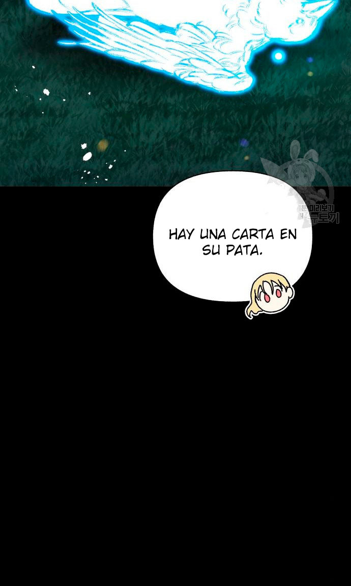 Página 42