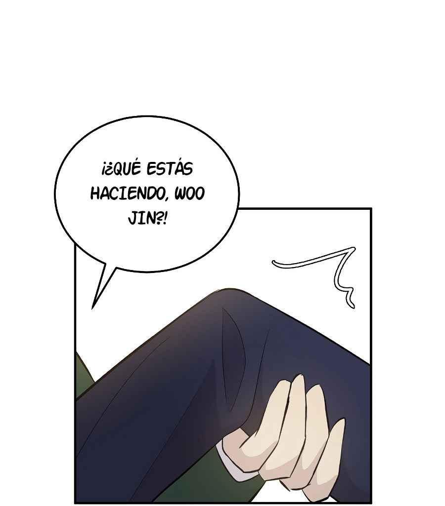 Página 43