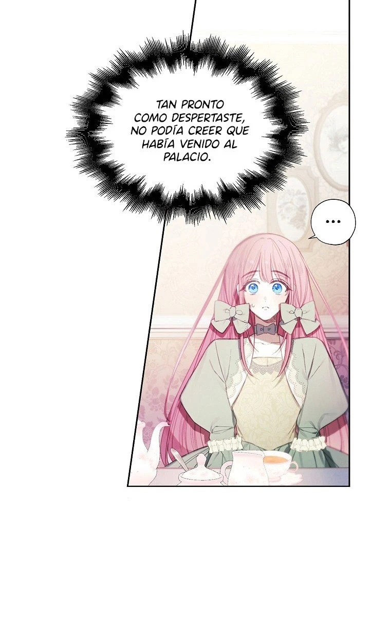 Página 45