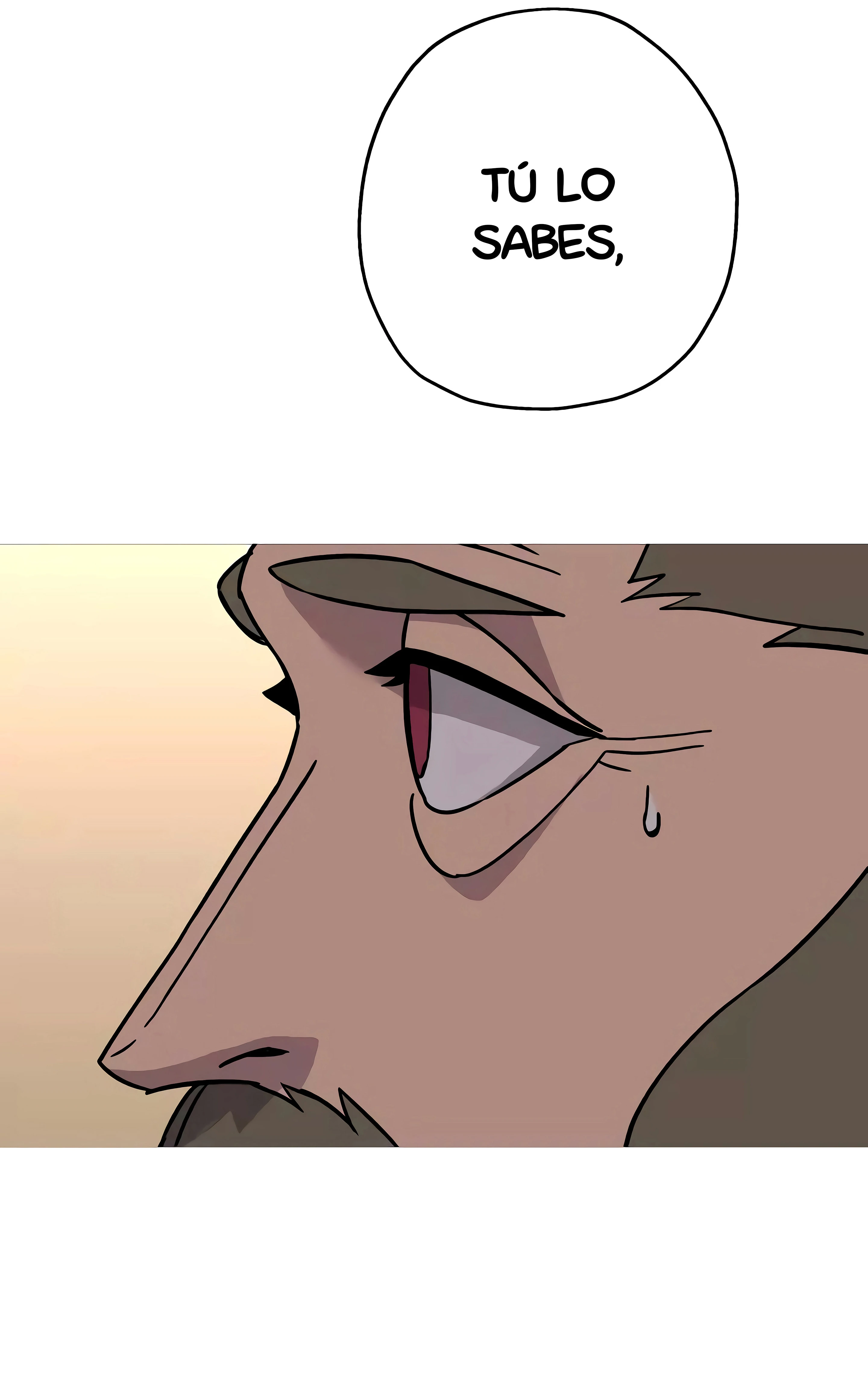 Página 46
