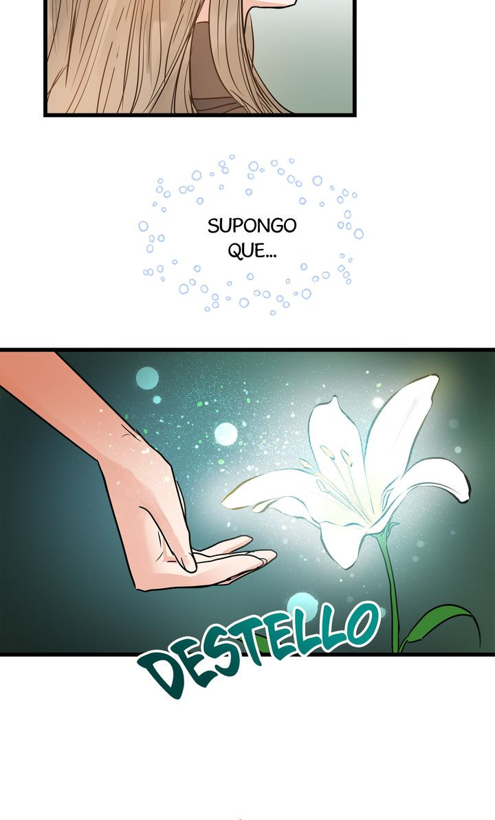 Página 53