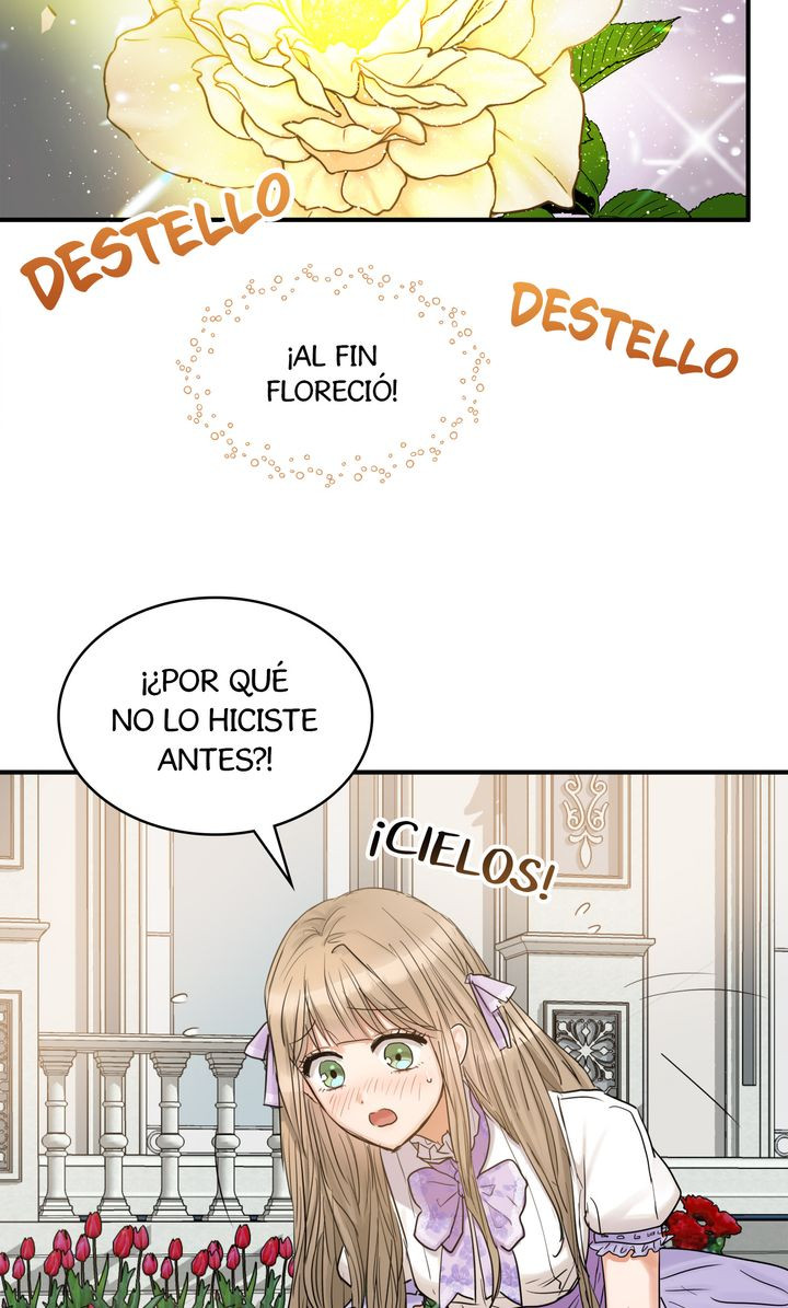 Página 49