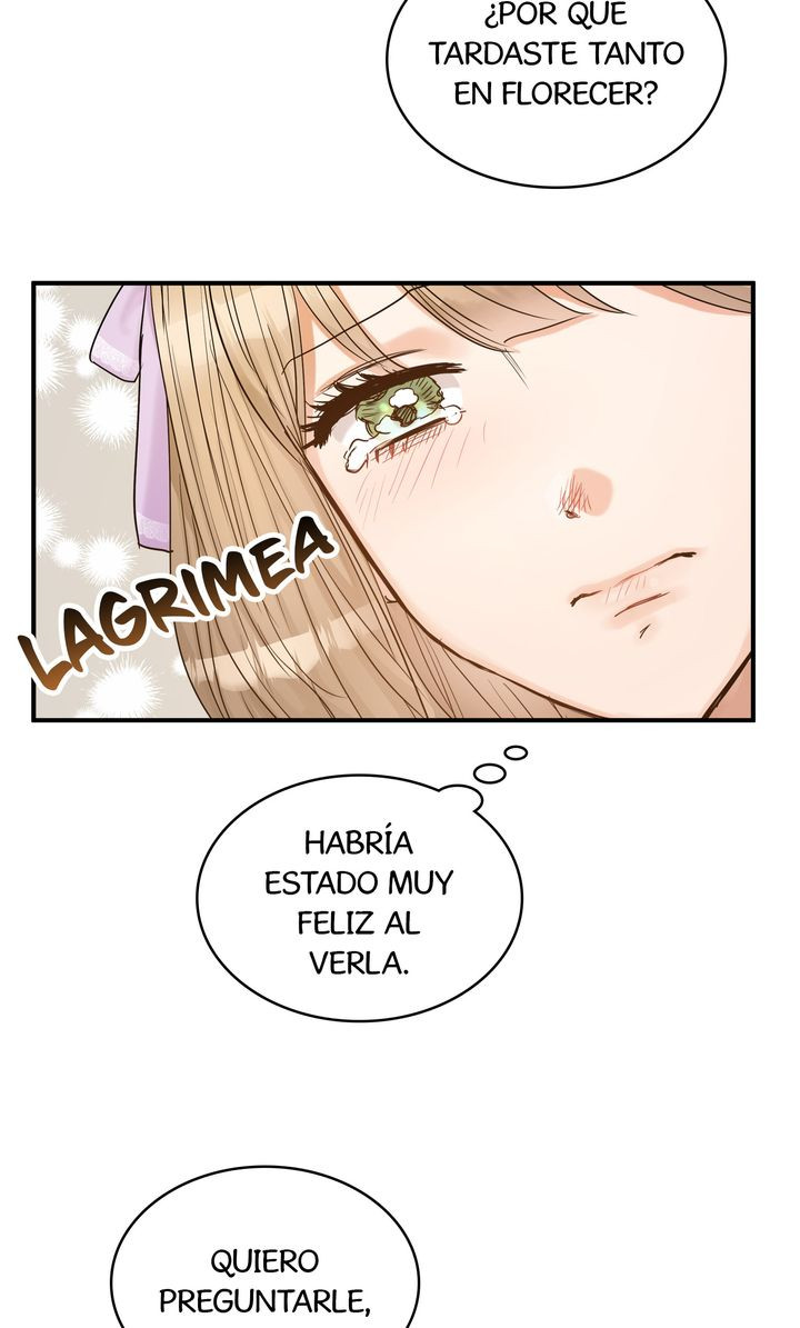 Página 52